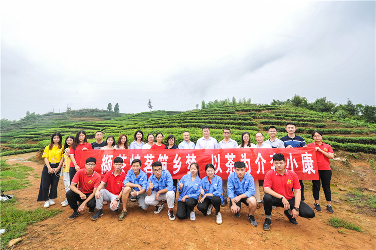 协和学院师生前往留洋村茶场参观考察 (1).jpg