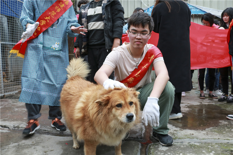 4、志愿者与流浪动物合影.jpg