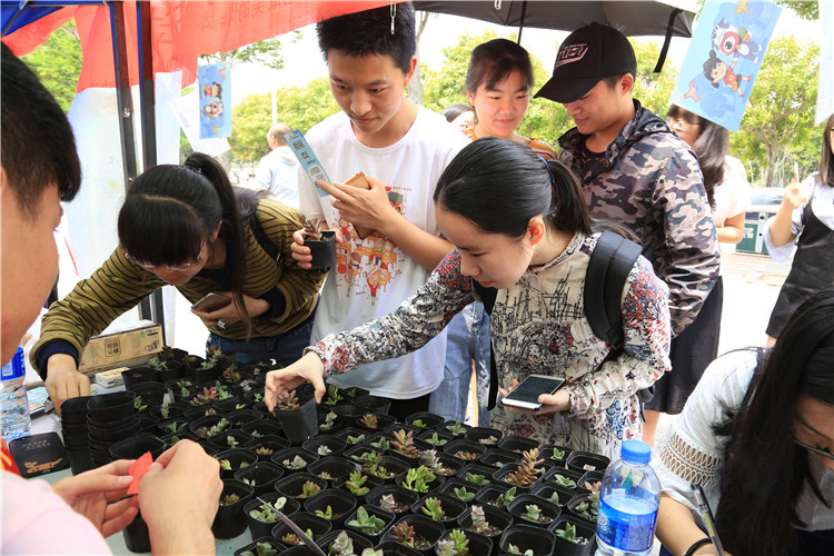 20180422学生们挑选多肉植物李燕萍摄 (1).jpg