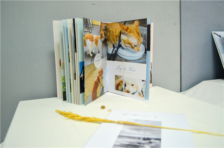 20171214 文产作品展 画集展示 郑皓芳摄.JPG